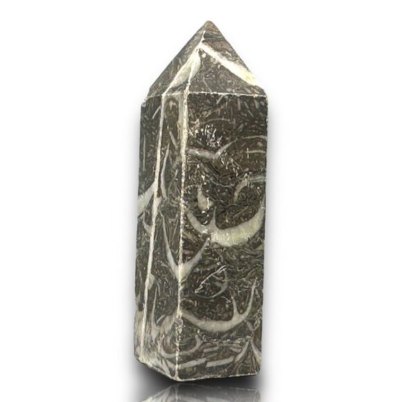 Shell Jasper Tower Black White Serenity Stability Protection 68g NWOT Cleansed - Picture 1 of 12